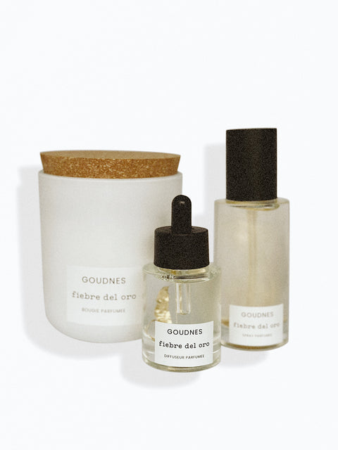 Limited Spot Luxury Scent Subscription W/ Diffuser Stone