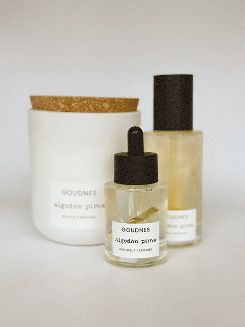 Limited Spot Luxury Scent Subscription W/ Diffuser Stone