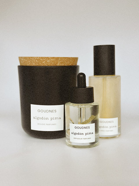 Limited Spot Luxury Scent Subscription W/ Diffuser Stone