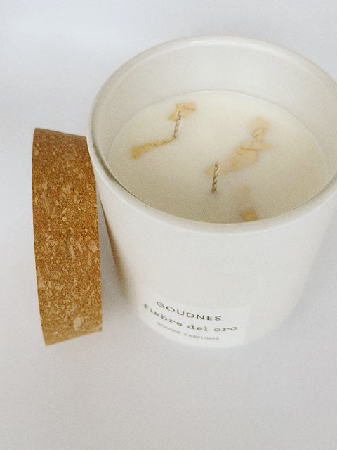Limited Spot Luxury Scent Subscription W/ Diffuser Stone